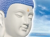 Lời dạy của Đức Phật về khổ đau và hạnh phúc